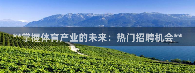 必一体育下载一样吗：