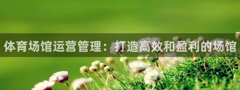 必一体育下载app：