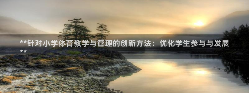 必一体育APP：**