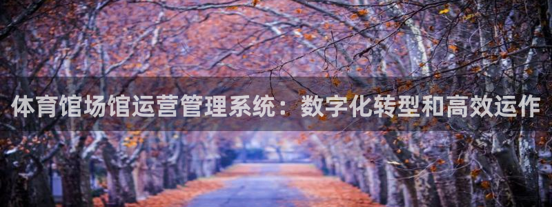 必一体育官方下载：体