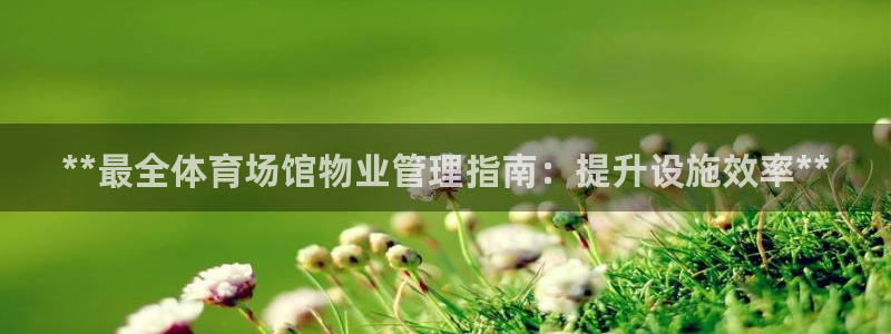 必一运动 b 体育素