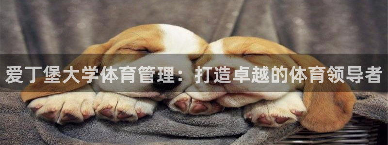 必一运动官网：爱丁堡