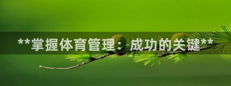 必一体育官网网址：*