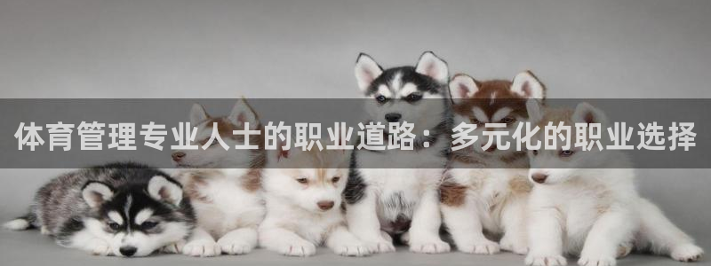 必一体育官网入口：体