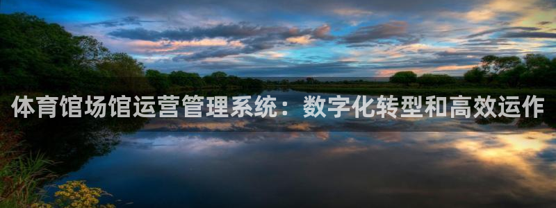 必一体育官网入口：体