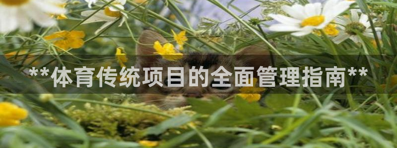 必一体育：**体育传