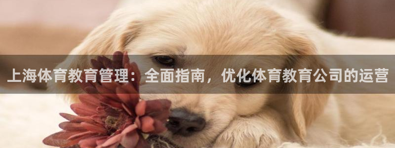 必一体育sport下