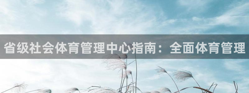 必一体育sport官
