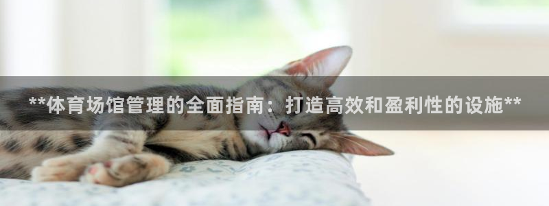 必一体育在线入口：*