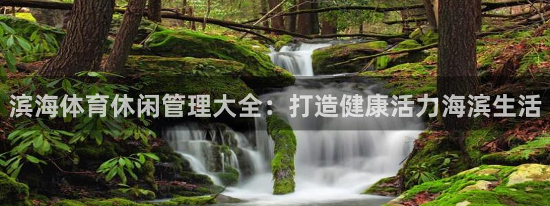 必一体育电子app：