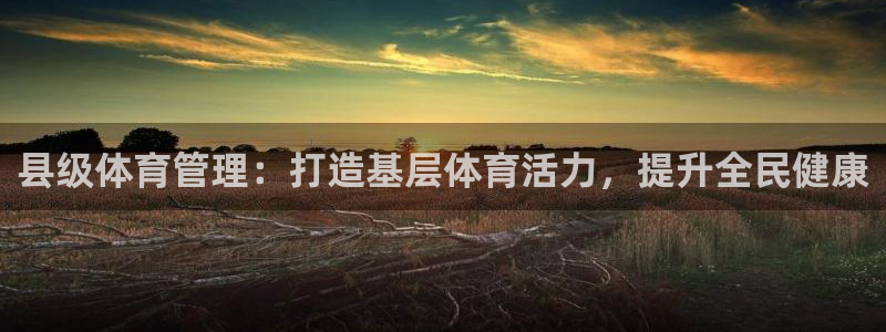 必一体育没了：县级体