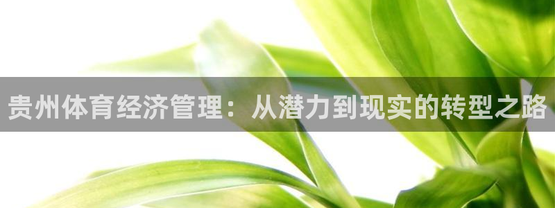 必一体育下载一样吗：