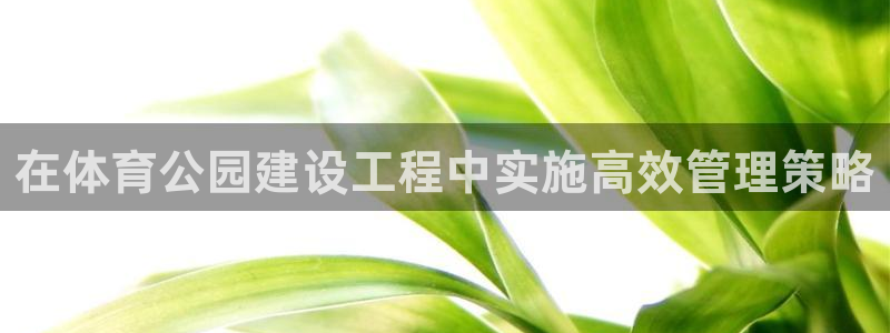 必一体育可靠吗：在体