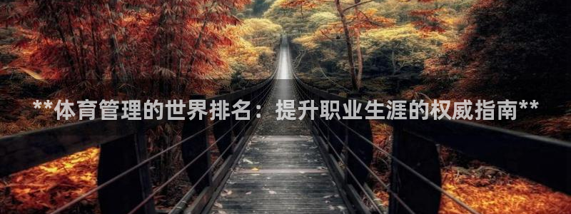 必一体育全站在线登录
