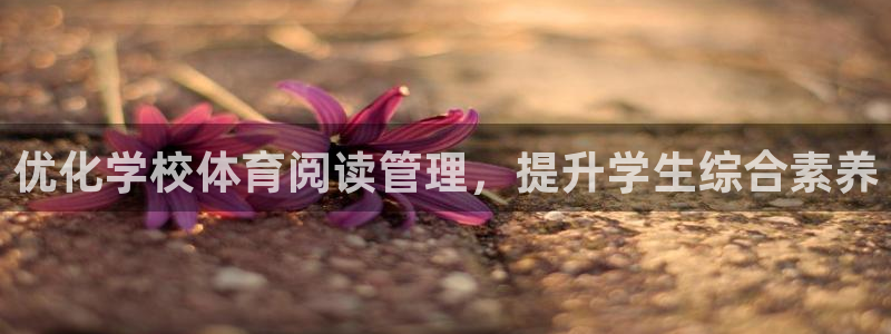 b体育必一运动网页版
