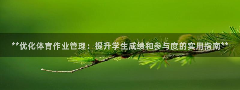 必一体育下载登入：*