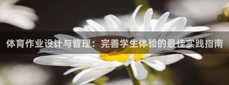 必一体育app下载最