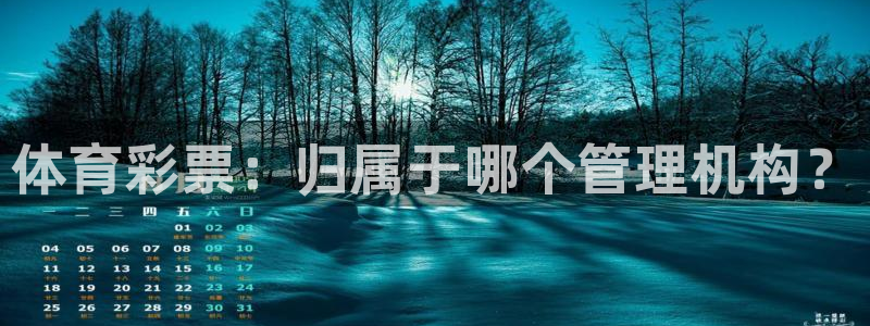 必一体育sport：
