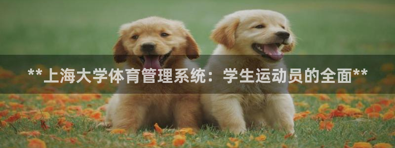 必一体育app官方正