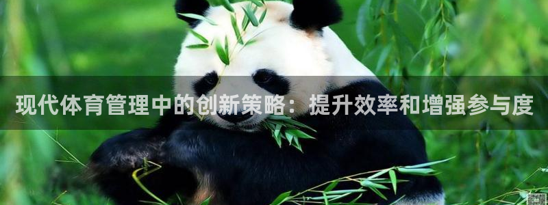 必一体育sportB