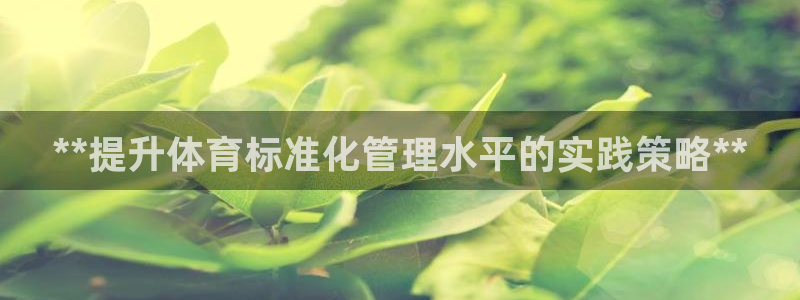 必一体育官方app下