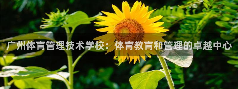 必一体育官网ios下