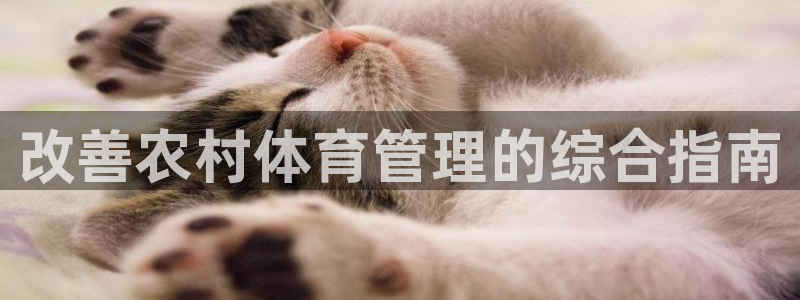 必一体育官方app下