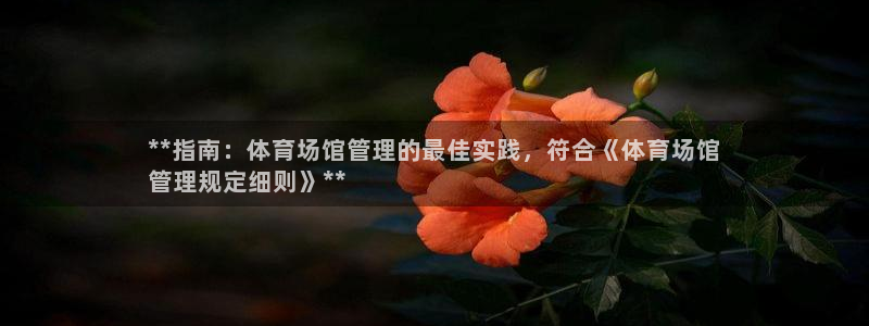必一体育官方网站入口