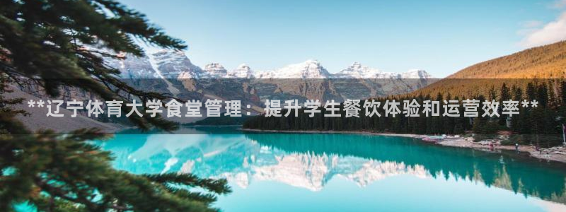 必一体育app下载：