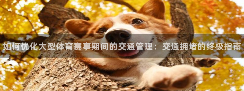 必一体育网页：如何优
