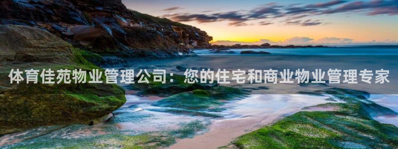 b体育必一运动网页版