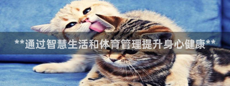 必一体育运动app下