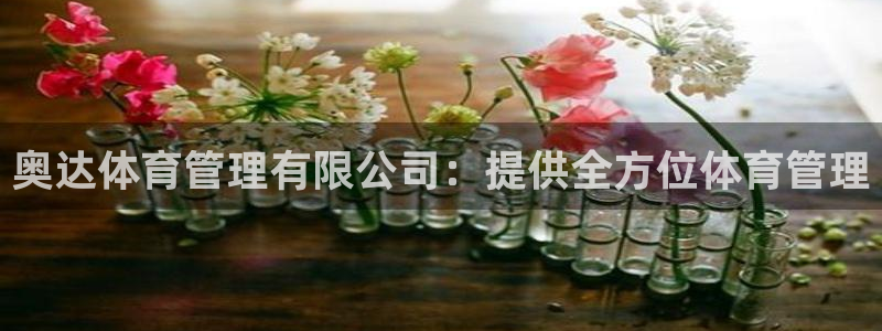 必一体育官方入口：奥