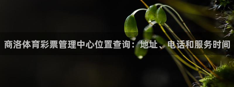 必一体育平台：商洛体