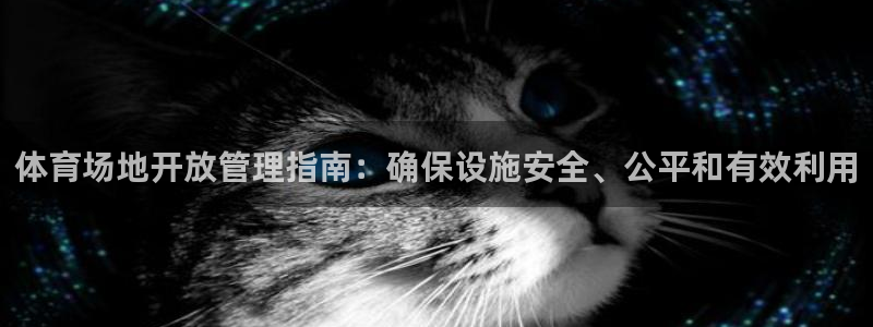必一体育网页版登录：