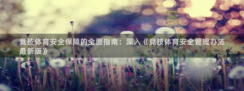 必一体育运动平台官网