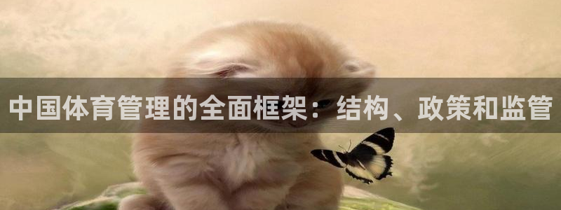 必一体育全站在线登录