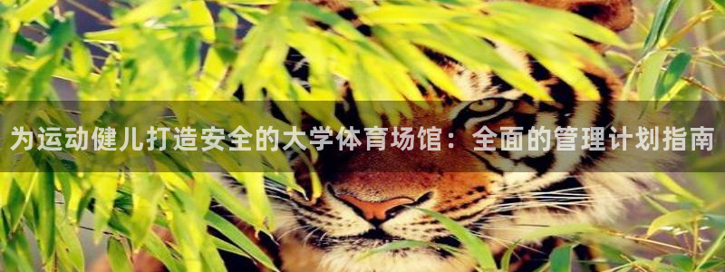 必一体育sport装