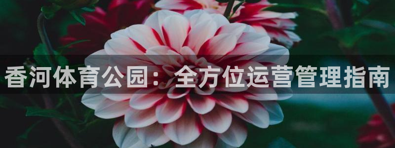 必一运动体育：香河体