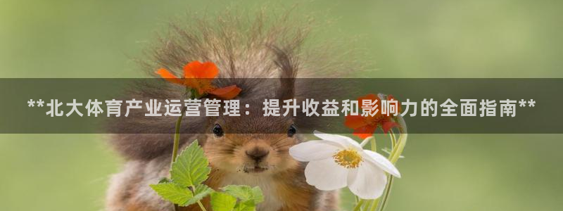 必一体育运动app下