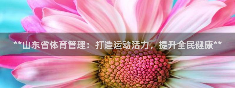 必一体育登入：**山
