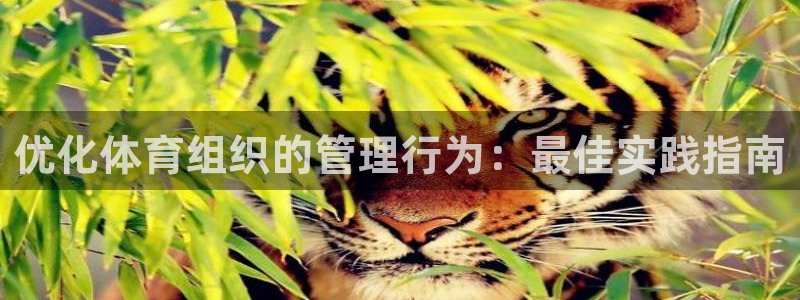 必一体育黑平台：优化