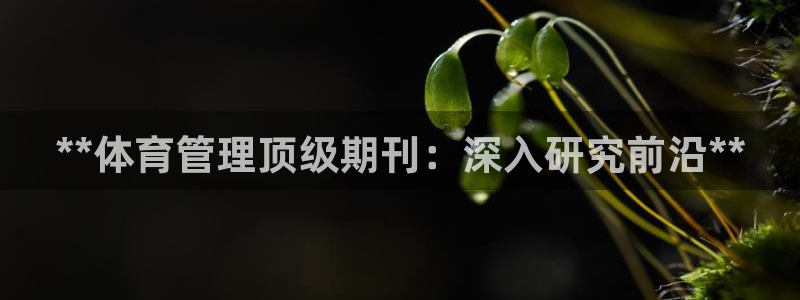 必一体育网页登录版官