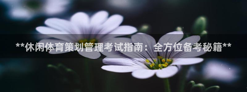 必一运动B-Spor