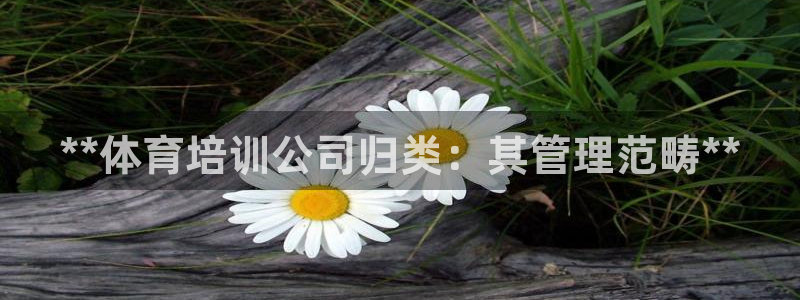 必一体育运动下载：*