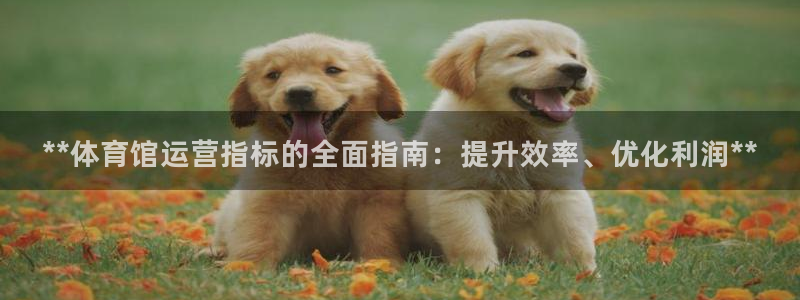 必一体育运动官网：*