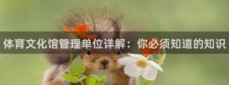 b体育官网下载入口a