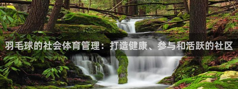 必一体育下载意思：羽