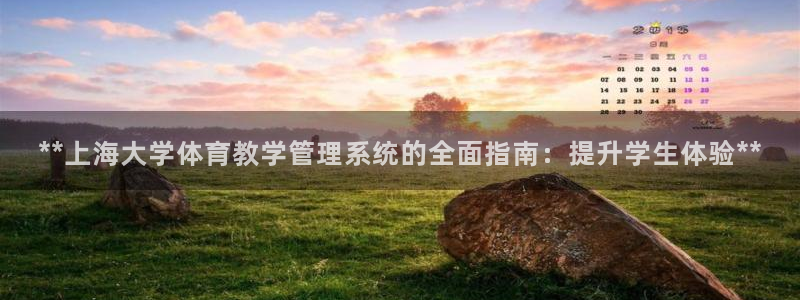 必一体育运动app：