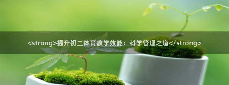 必一体育app官方网